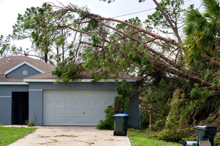 Tree fallen over garage